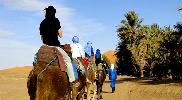 images/desert_tours/260_53.jpg