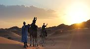 images/desert_tours/262_52.jpg